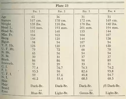 Plate 25